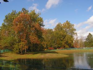Salmon Brook Park Pond